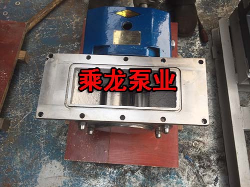 料斗式轉(zhuǎn)子泵衛(wèi)生級